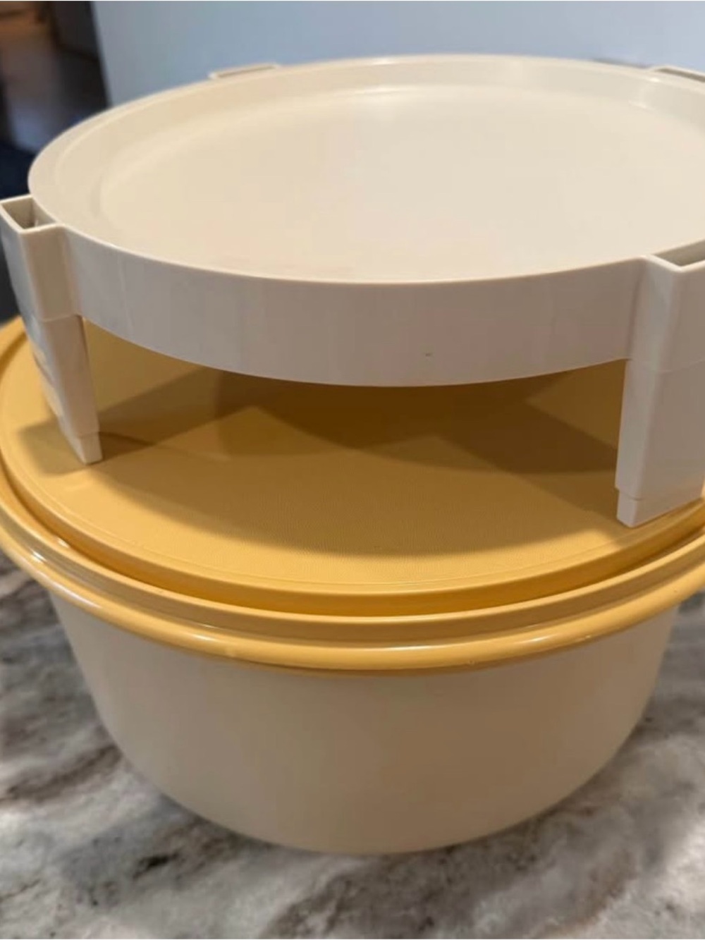 Vintage 1970s Maxi 12” Cake Taker Carrier